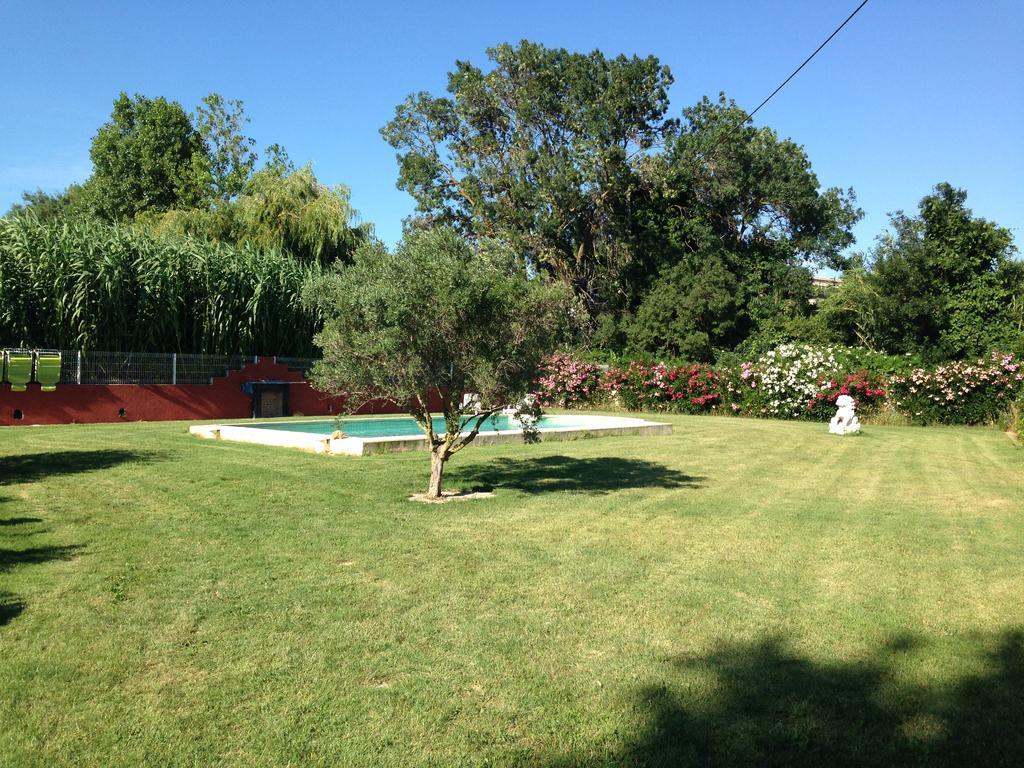 Les Jardins Du Rebaut Bed & Breakfast Beziers Luaran gambar